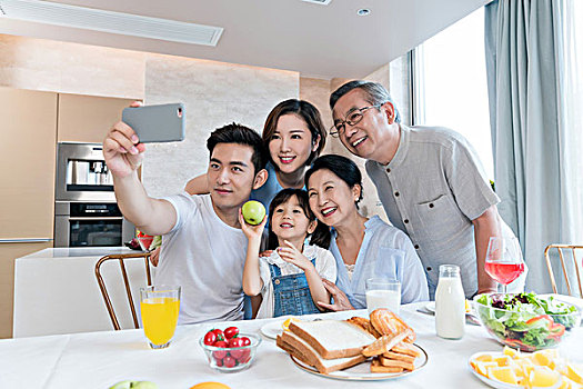 3個月緬因貓多少錢一只？如何選擇優質緬因貓？