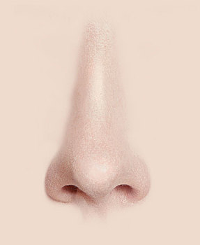 福建請(qǐng)個(gè)保姆一般多少錢(qián)？讓你了解真實(shí)的價(jià)格和服務(wù)內(nèi)容！
