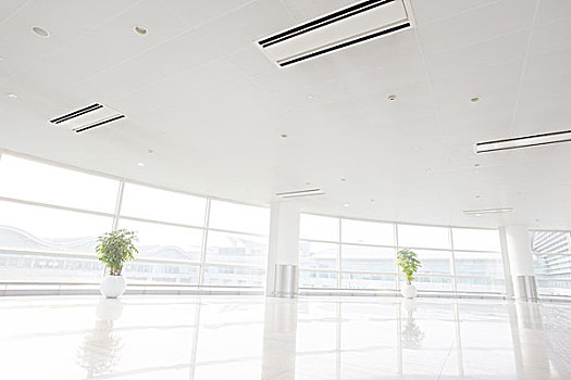 急先鋒成本是多少？揭開極速物流背后的秘密