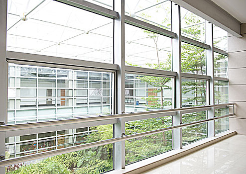 鄭州市家政公司有多少？探索家政行業的蓬勃發展與前景