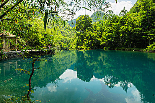 請一個高級保姆多少錢？揭開優(yōu)質(zhì)家庭護(hù)理服務(wù)的真實成本
