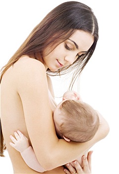 緬因貓一天得吃多少貓糧？科學喂養，保證健康成長