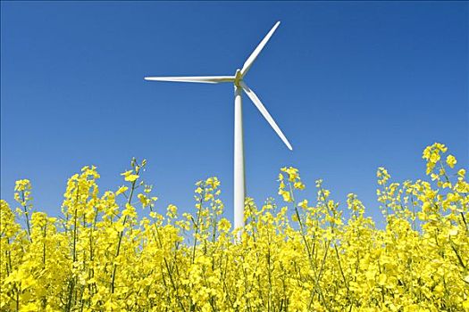 開保姆公司用多少錢？揭秘開設保姆公司所需的成本與利潤空間