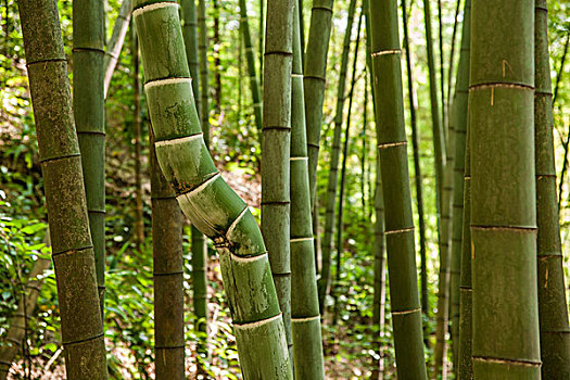清遠(yuǎn)新基檢測(cè)站多少錢？深度解析及服務(wù)優(yōu)勢(shì)