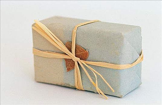 北京最高保姆工資多少？揭秘高薪保姆的背后故事