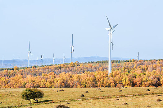 上海電影成本多少錢一張？揭秘電影票價格背后的產業鏈