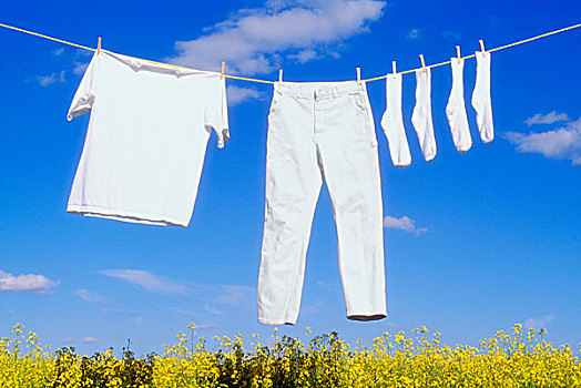 4小時保姆工資是多少？揭秘現(xiàn)代家庭保姆服務(wù)的真實價格！