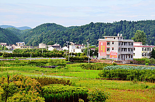 上海保潔多少錢工資多少？揭秘上海保潔行業的薪資與就業前景