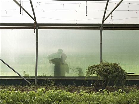 唐人街3萬達主投多少：揭秘萬達背后的戰略布局與投資回報