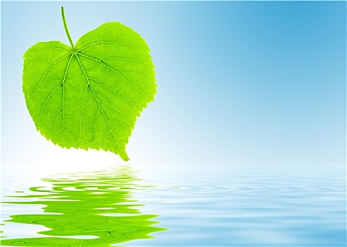 家政保潔的工資多少？揭秘背后的高薪秘密