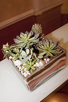 赤狐書生耗資多少？揭秘這款熱門游戲的幕后成本與制作之路