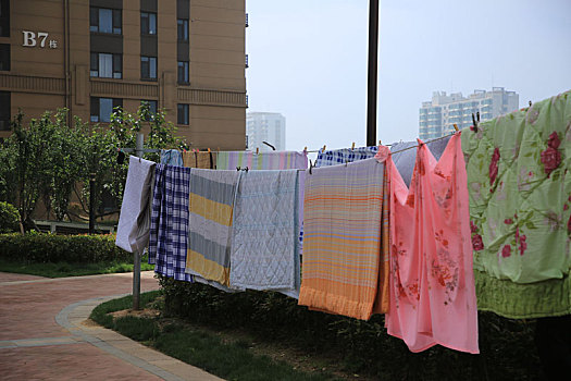 美蕙家政公司電話多少？輕松解決您的家政服務需求