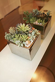 北京請(qǐng)保姆多少錢(qián)？讓我們?yōu)槟颐刈钊娴膬r(jià)格指南！