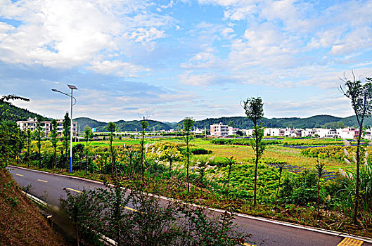 徐州請(qǐng)保姆多少錢(qián)？解鎖高性價(jià)比的保姆服務(wù)，讓您的生活更輕松！