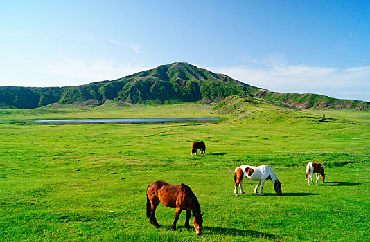 山東不住家保姆多少錢？了解山東保姆費用，讓您輕松選到適合的家庭幫手