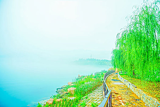 干家政一個月多少錢？揭秘家政行業的收入與前景