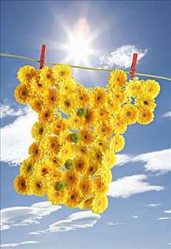 電影除暴制片成本揭秘：背后的高額投入與回報
