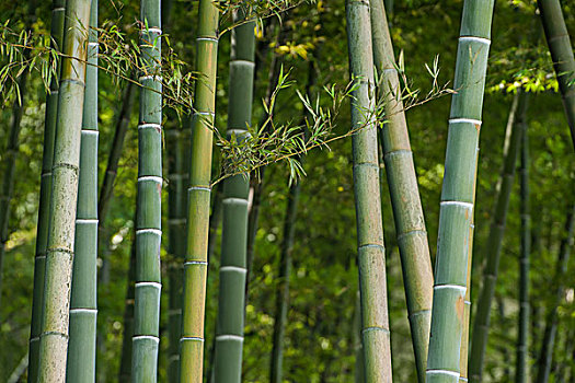 早教師多少錢一個(gè)月？揭秘早教師行業(yè)的薪資現(xiàn)狀與發(fā)展前景