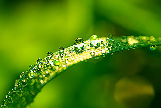 家政服務行業薪資揭秘：你不可忽視的高薪潛力