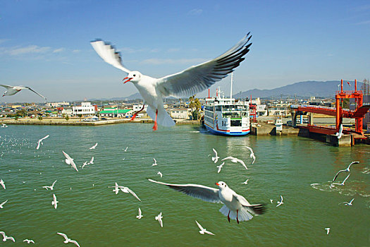 保姆臨時(shí)工多少錢(qián)一天？揭秘臨時(shí)保姆市場(chǎng)價(jià)格與服務(wù)內(nèi)容