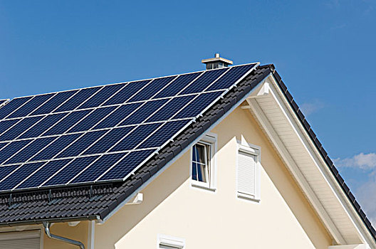 電影柔術投資多少成本？揭秘電影柔術的幕后商業(yè)秘密