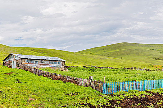 重慶住家保姆要多少錢？了解重慶住家保姆服務的價格與選擇