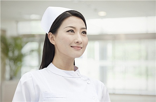 3個月緬因貓多少錢一只？如何選擇優質緬因貓？