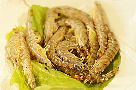 寧波陪保姆價(jià)格多少？為您揭示選擇陪保姆的關(guān)鍵因素！