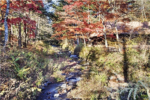 成都學(xué)月嫂多少錢？揭秘月嫂培訓(xùn)費(fèi)用及市場需求