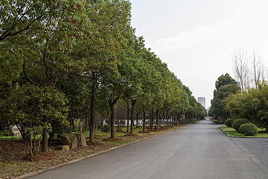 找個住家保姆多少錢？揭秘住家保姆的費用及選擇技巧