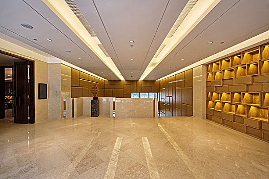 銀漸層多少錢一只貓舍？揭秘銀漸層貓的價格和選購技巧