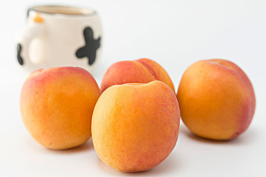 重慶鐘點(diǎn)工多少錢？了解市場行情，輕松找到高性價(jià)比服務(wù)