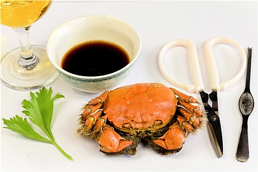 緬因貓四個月大一天吃多少？了解這一關鍵營養(yǎng)需求