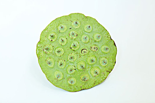菲傭北京多少錢？揭秘在北京請菲傭的費用與優勢