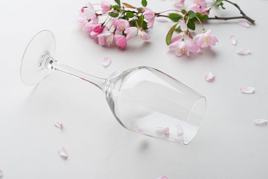 小紅花多少錢一朵：讓我們一起探索這朵神奇的花