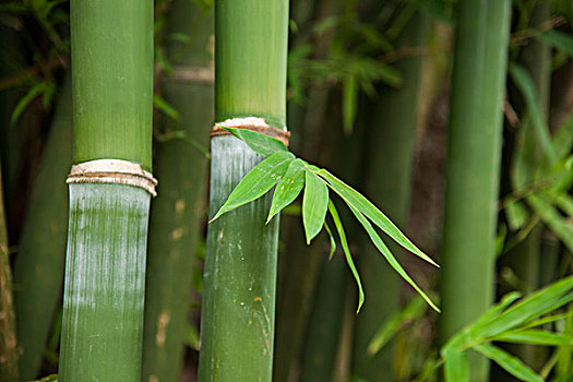 請家政一天大概多少錢？讓你輕松了解家政服務價格，輕松享受品質生活！