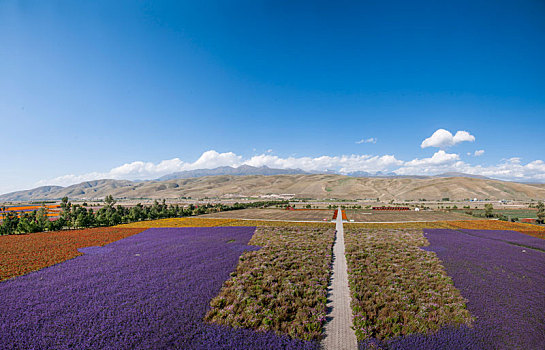 重慶住家保姆多少錢？揭秘重慶家政服務的價格與價值