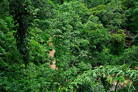 青島開(kāi)發(fā)區(qū)保姆多少錢(qián)？了解行情，選擇最合適的家庭護(hù)理服務(wù)