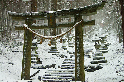 增城請(qǐng)一個(gè)月嫂多少錢？?jī)?yōu)質(zhì)月嫂服務(wù)幫您輕松迎接新生兒