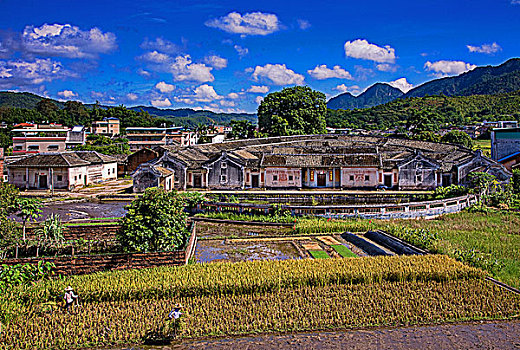 重慶保姆工資多少錢？2025年最新市場行情分析