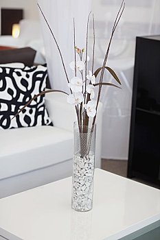如何選擇合適的保姆？價格、年齡和選擇要點全解析