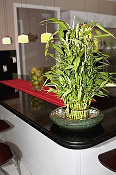 長(zhǎng)沙保姆工資多少？揭秘長(zhǎng)沙保姆薪資及行業(yè)現(xiàn)狀
