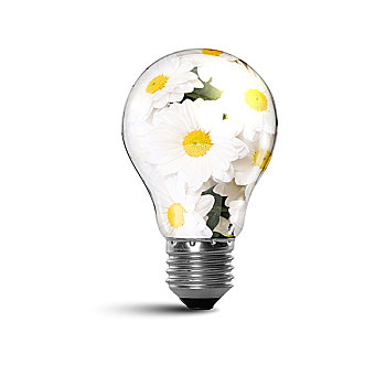 《電影人潮洶涌票價多少？》——帶你了解最新票價、觀影體驗及票房趨勢