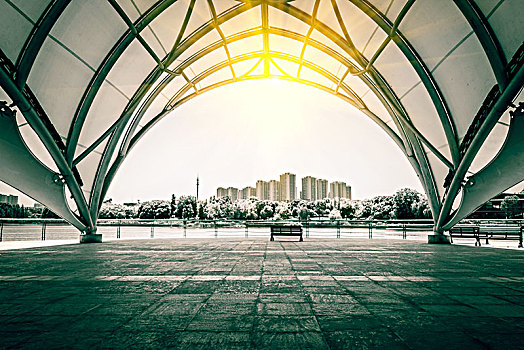 在上海學月嫂要多少錢？揭秘月嫂培訓費用與市場潛力