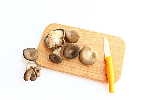 住家帶孩子保姆工資多少？揭秘背后的收入潛力與發展空間