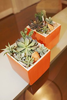 金漸層藍金多少錢？揭秘金漸層藍金的價格與市場趨勢