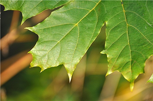 我和我的家鄉(xiāng)花費(fèi)多少錢：一次與故鄉(xiāng)的深度對話