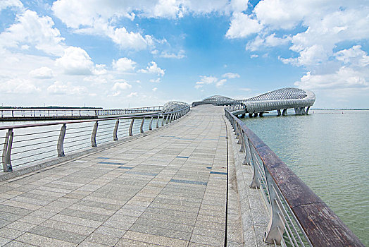 緬因貓配對多少錢？揭秘緬因貓的繁育與市場行情