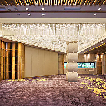 緬因貓5個月一天吃多少？貓咪營養與健康的完美平衡