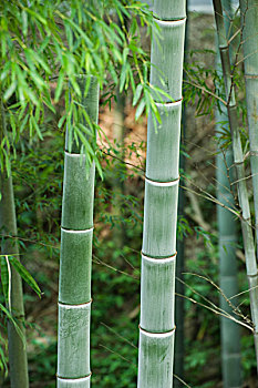 太原請(qǐng)一個(gè)保姆多少錢(qián)？讓您輕松了解家庭服務(wù)的價(jià)格與選擇